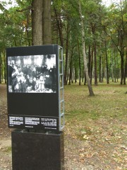 Photo memorial of the people who died in the forest around Birkenau